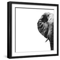 Safari Profile Collection - Elephant Portrait White Edition II-Philippe Hugonnard-Framed Photographic Print