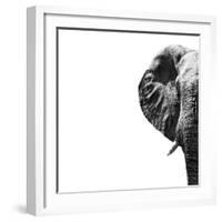 Safari Profile Collection - Elephant Portrait White Edition II-Philippe Hugonnard-Framed Photographic Print