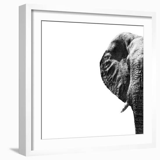 Safari Profile Collection - Elephant Portrait White Edition II-Philippe Hugonnard-Framed Photographic Print