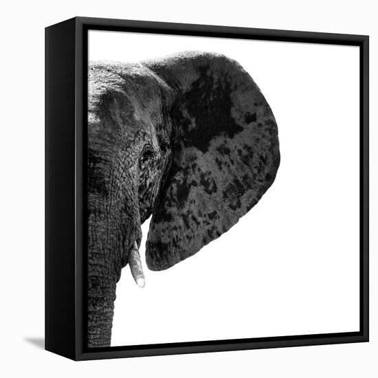 Safari Profile Collection - Elephant Portrait White Edition III-Philippe Hugonnard-Framed Stretched Canvas