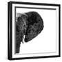 Safari Profile Collection - Elephant Portrait White Edition III-Philippe Hugonnard-Framed Premium Photographic Print