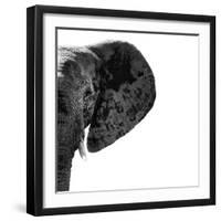 Safari Profile Collection - Elephant Portrait White Edition III-Philippe Hugonnard-Framed Photographic Print