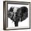 Safari Profile Collection - Elephant Portrait White Edition IV-Philippe Hugonnard-Framed Photographic Print