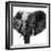 Safari Profile Collection - Elephant Portrait White Edition IV-Philippe Hugonnard-Framed Photographic Print