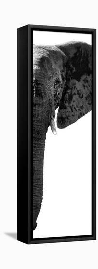 Safari Profile Collection - Elephant Portrait White Edition V-Philippe Hugonnard-Framed Stretched Canvas