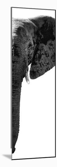 Safari Profile Collection - Elephant Portrait White Edition V-Philippe Hugonnard-Mounted Photographic Print