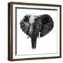Safari Profile Collection - Elephant Portrait White Edition-Philippe Hugonnard-Framed Photographic Print