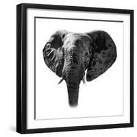 Safari Profile Collection - Elephant Portrait White Edition-Philippe Hugonnard-Framed Photographic Print