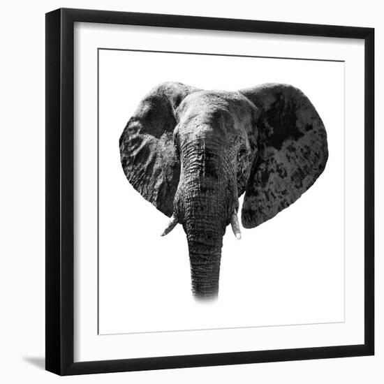 Safari Profile Collection - Elephant Portrait White Edition-Philippe Hugonnard-Framed Photographic Print