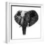 Safari Profile Collection - Elephant Portrait White Edition-Philippe Hugonnard-Framed Photographic Print
