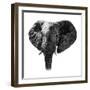 Safari Profile Collection - Elephant Portrait White Edition-Philippe Hugonnard-Framed Premium Photographic Print