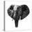 Safari Profile Collection - Elephant Portrait White Edition-Philippe Hugonnard-Stretched Canvas