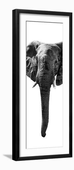 Safari Profile Collection - Elephant White Edition II-Philippe Hugonnard-Framed Photographic Print
