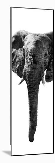 Safari Profile Collection - Elephant White Edition II-Philippe Hugonnard-Mounted Photographic Print