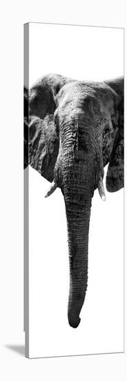 Safari Profile Collection - Elephant White Edition II-Philippe Hugonnard-Stretched Canvas