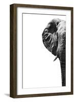 Safari Profile Collection - Elephant White Edition III-Philippe Hugonnard-Framed Photographic Print