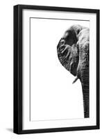 Safari Profile Collection - Elephant White Edition III-Philippe Hugonnard-Framed Photographic Print