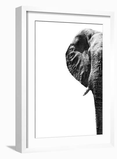 Safari Profile Collection - Elephant White Edition III-Philippe Hugonnard-Framed Photographic Print