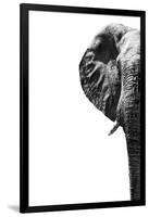 Safari Profile Collection - Elephant White Edition III-Philippe Hugonnard-Framed Photographic Print