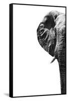 Safari Profile Collection - Elephant White Edition III-Philippe Hugonnard-Framed Stretched Canvas