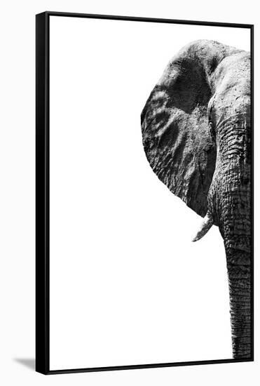 Safari Profile Collection - Elephant White Edition III-Philippe Hugonnard-Framed Stretched Canvas