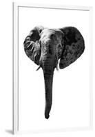 Safari Profile Collection - Elephant White Edition-Philippe Hugonnard-Framed Photographic Print