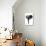 Safari Profile Collection - Elephant White Edition-Philippe Hugonnard-Photographic Print displayed on a wall