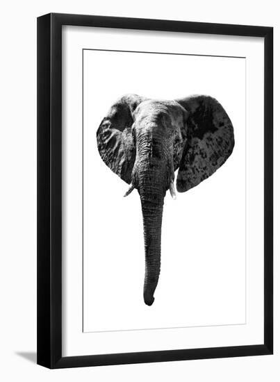 Safari Profile Collection - Elephant White Edition-Philippe Hugonnard-Framed Photographic Print