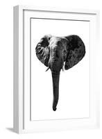 Safari Profile Collection - Elephant White Edition-Philippe Hugonnard-Framed Photographic Print