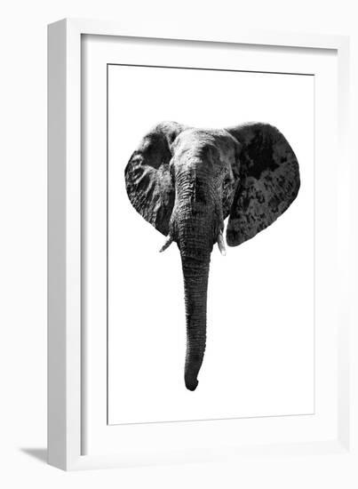 Safari Profile Collection - Elephant White Edition-Philippe Hugonnard-Framed Photographic Print
