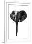 Safari Profile Collection - Elephant White Edition-Philippe Hugonnard-Framed Premium Photographic Print