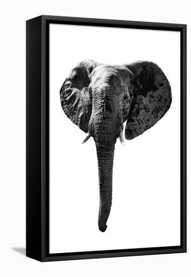 Safari Profile Collection - Elephant White Edition-Philippe Hugonnard-Framed Stretched Canvas