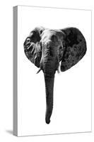 Safari Profile Collection - Elephant White Edition-Philippe Hugonnard-Stretched Canvas
