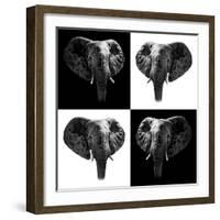 Safari Profile Collection - Elephants II-Philippe Hugonnard-Framed Photographic Print