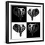 Safari Profile Collection - Elephants II-Philippe Hugonnard-Framed Photographic Print