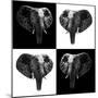 Safari Profile Collection - Elephants II-Philippe Hugonnard-Mounted Photographic Print