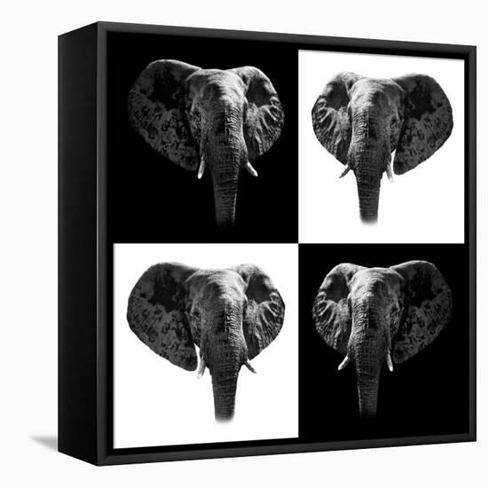 Safari Profile Collection - Elephants II-Philippe Hugonnard-Framed Stretched Canvas
