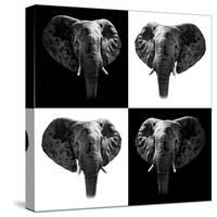 Safari Profile Collection - Elephants II-Philippe Hugonnard-Stretched Canvas