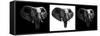 Safari Profile Collection - Elephants III-Philippe Hugonnard-Framed Stretched Canvas