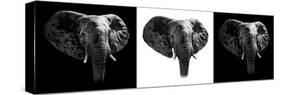 Safari Profile Collection - Elephants III-Philippe Hugonnard-Stretched Canvas