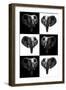 Safari Profile Collection - Elephants-Philippe Hugonnard-Framed Photographic Print
