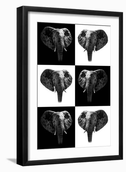 Safari Profile Collection - Elephants-Philippe Hugonnard-Framed Photographic Print