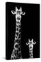 Safari Profile Collection - Giraffe and Baby Black Edition II-Philippe Hugonnard-Stretched Canvas