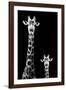 Safari Profile Collection - Giraffe and Baby Black Edition II-Philippe Hugonnard-Framed Photographic Print