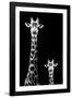 Safari Profile Collection - Giraffe and Baby Black Edition II-Philippe Hugonnard-Framed Photographic Print