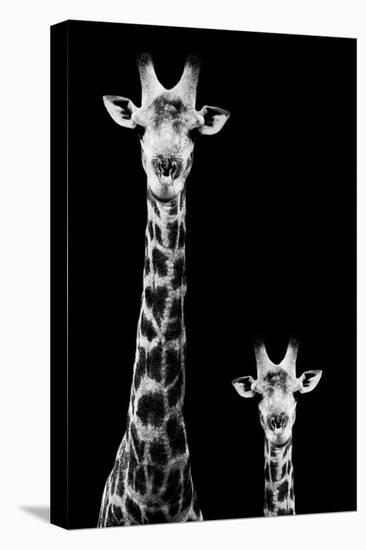 Safari Profile Collection - Giraffe and Baby Black Edition II-Philippe Hugonnard-Stretched Canvas