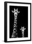 Safari Profile Collection - Giraffe and Baby Black Edition II-Philippe Hugonnard-Framed Photographic Print