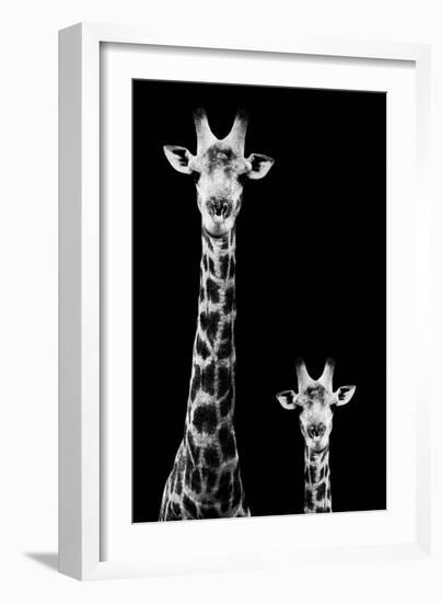 Safari Profile Collection - Giraffe and Baby Black Edition II-Philippe Hugonnard-Framed Photographic Print