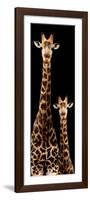 Safari Profile Collection - Giraffe and Baby Black Edition III-Philippe Hugonnard-Framed Photographic Print