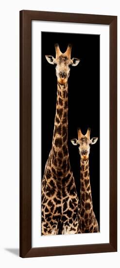 Safari Profile Collection - Giraffe and Baby Black Edition III-Philippe Hugonnard-Framed Photographic Print